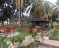 Precious Palm Royal Hotel Limited