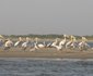 Lodge Hotel Keur Saloum