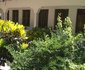 The Nungwi Inn Hotel