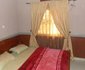 New Paradise Guest Inn