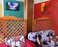 Christel et Flore Hotel