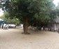 Town Hall Leisure Garden
