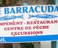 Campement Le Barracuda