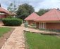 Seed of Peace Center