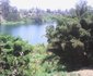 Kivu Sight Ltd