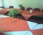Kivu Sight Ltd