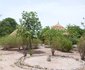 Campement Ecotouristique Dimba Gnima