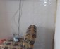 New Federal Hotel, Keffi