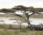 Serian's Serengeti South