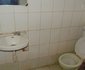 Mulberry Guest House