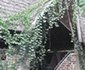 Songa Mbele Lodge Mayara Mirerani