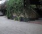 Songa Mbele Lodge Mayara Mirerani
