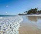 AfroChic Diani Beach