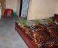 T C Divine Guest Inn