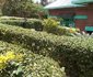Guest House La Serenite