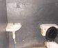 Wellard Guest Inn
