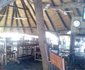 Pamusha Lodge & Safaris