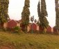 Ade Kemi Hotel Nig. Ltd