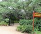 Gertie's Lodge