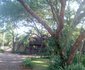Mosi Ua Tunya Lodge