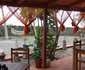 Tortuga B&B - Fogo