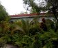 Tino's Guest House