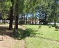 Tropicana Guest Lodge