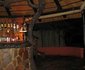 Camelthorn Kalahari Lodge
