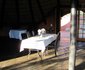 Camelthorn Kalahari Lodge