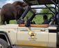 Tambuzi Safaris