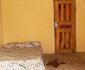 Clabel Garden Suite