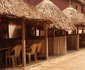 Mandy's Hotel And Suites