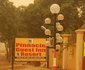 Pinnacle Guest Inn And Resort Limited