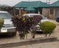 Lokun Piccadilly Guest Inn
