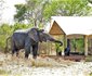 Honeyguide Tented Safari Camp