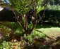 Ambience Garden Apartment