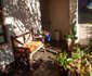 Ambience Garden Apartment