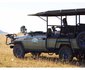 Honeyguide Ranger Camp