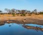 Buffelshoek Tented Camp