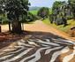 Phezulu Safari Park