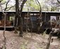 Mamagalie Mountain Lodge