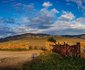 Louvain Guest Farm