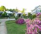 Hogsback Inn