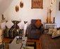 Mountain Bay Self-catering Apartments
