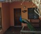 Umfolozi River Lodge and Bird Park