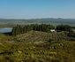 Goodwill Mountain Farm