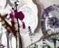 Sweetfontein Boutique Farm Lodge