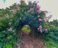 Outeniqua Moon Stud and Guest Farm