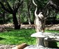 Getaway Bush Marloth Park