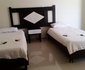 Dolphin Guest House